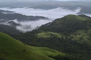 Coorg Half-Day Adventure Tour