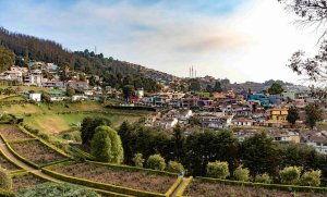 Ooty Half-Day Adventure Tour