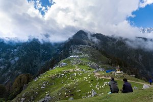 Dharamshala Half-Day Adventure Tour
