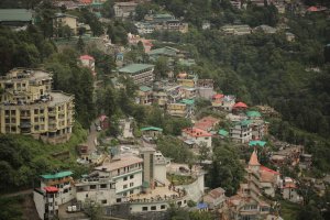 Shimla Half-Day Adventure Tour